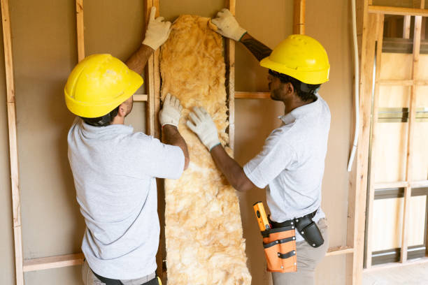 Best Attic Insulation Installation  in Hansen, ID